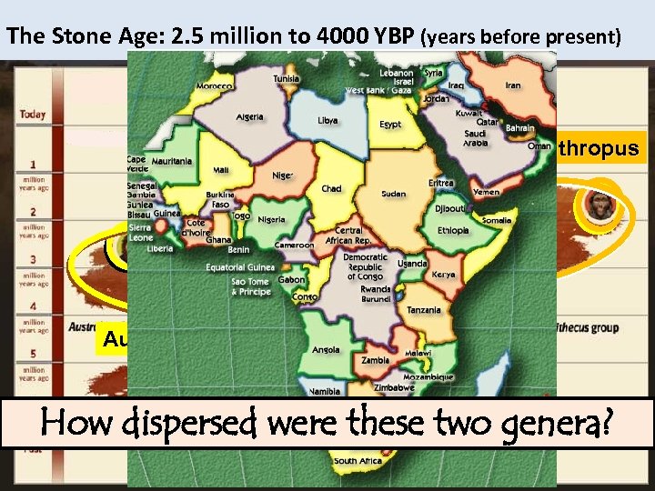 The Stone Age: 2. 5 million to 4000 YBP (years before present) homo Paranthropus
