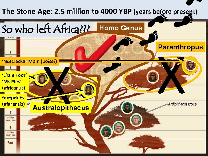 The Stone Age: 2. 5 million to 4000 YBP (years before present) So who