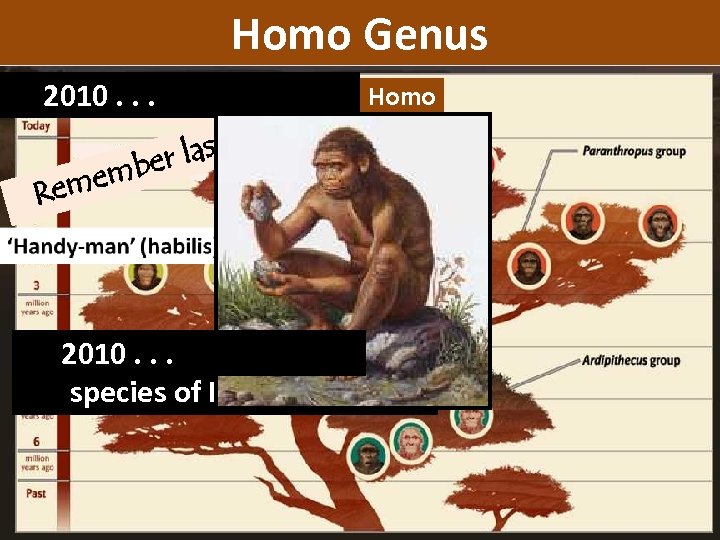 Homo Genus 2010. . . eek? st w homo Homo er la emb Rem