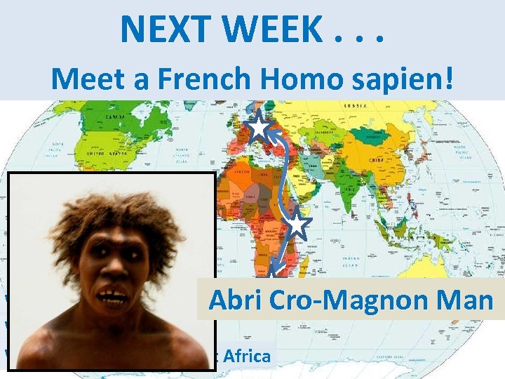 Homo Genus NEXT WEEK. . . EUROPE AFRICA sapien ASIA AMER. Meet a French
