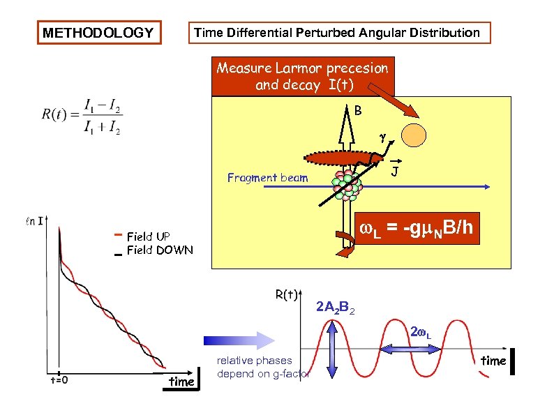 METHODOLOGY Time Differential Perturbed Angular Distribution Measure Larmor precesion and decay I(t) B J