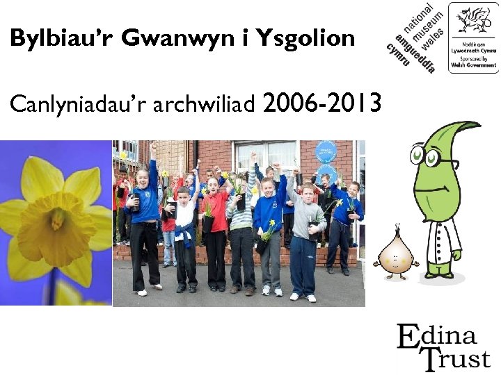 Bylbiau’r Gwanwyn i Ysgolion Canlyniadau’r archwiliad 2006 -2013 