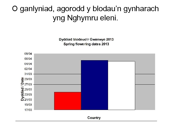 O ganlyniad, agorodd y blodau’n gynharach yng Nghymru eleni. 