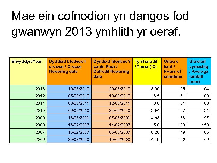 Mae ein cofnodion yn dangos fod gwanwyn 2013 ymhlith yr oeraf. Blwyddyn/Year Dyddiad blodeuo'r