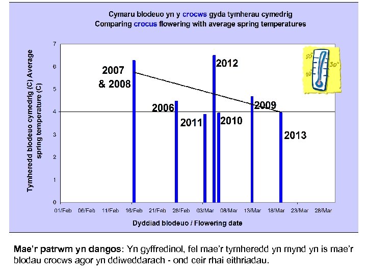 Mae’r patrwm yn dangos: Yn gyffredinol, fel mae’r tymheredd yn mynd yn is mae’r