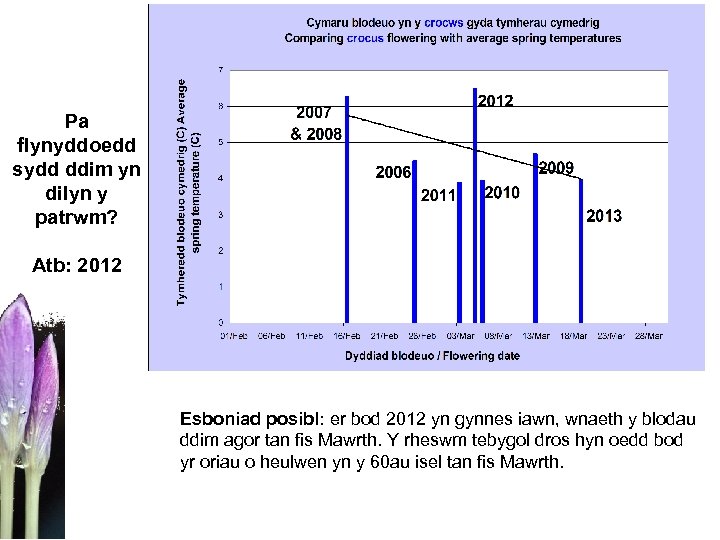 Pa flynyddoedd sydd ddim yn dilyn y patrwm? Atb: 2012 Esboniad posibl: er bod