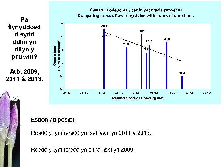 Pa flynyddoed d sydd ddim yn dilyn y patrwm? Atb: 2009, 2011 & 2013.