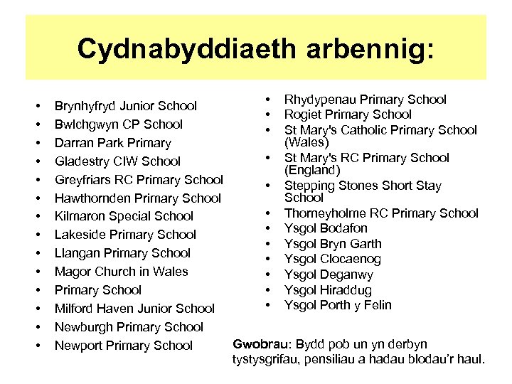 Cydnabyddiaeth arbennig: • • • • Rhydypenau Primary School Brynhyfryd Junior School • Rogiet