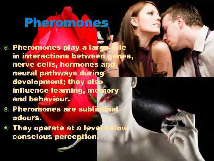 Pheromones play a large role in interactions between genes, nerve cells, hormones and neural