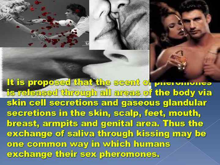 It is proposed that the scent of pheromones is released through all areas of