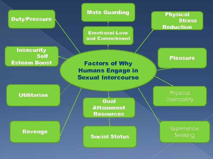 Duty/Pressure Mate Guarding Emotional Love and Commitment Insecurity Self Esteem Boost Utilitarian Revenge Factors