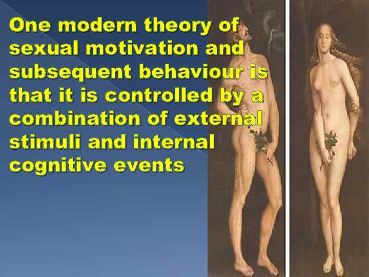 One modern theory of sexual motivation and subsequent behaviour is that it is controlled