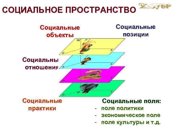 Социальное пространство презентация