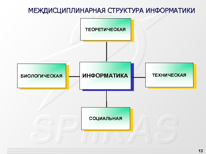 МЕЖДИСЦИПЛИНАРНАЯ СТРУКТУРА ИНФОРМАТИКИ ТЕОРЕТИЧЕСКАЯ БИОЛОГИЧЕСКАЯ ИНФОРМАТИКА ТЕХНИЧЕСКАЯ СОЦИАЛЬНАЯ 13 