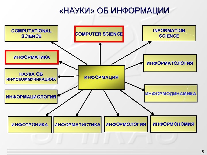  «НАУКИ» ОБ ИНФОРМАЦИИ COMPUTATIONAL SCIENCE INFORMATION SCIENCE COMPUTER SCIENCE ИНФОРМАТИКА ИНФОРМАТОЛОГИЯ НАУКА ОБ