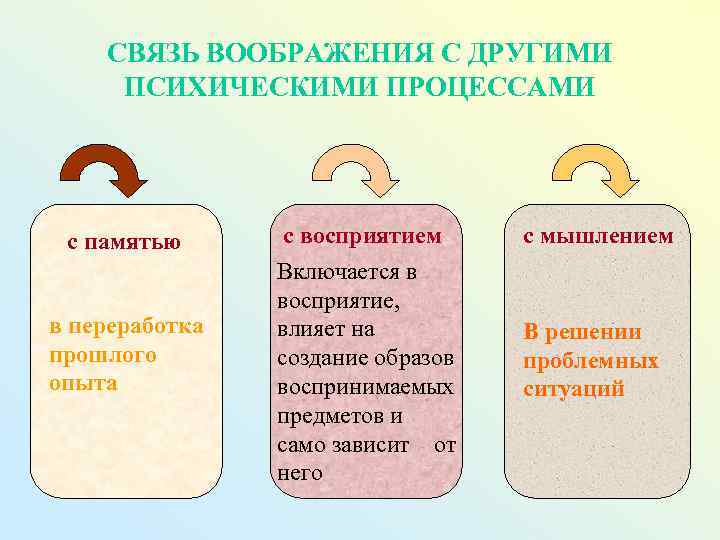 Заполните схемы восприятие объективное память представление память воображение