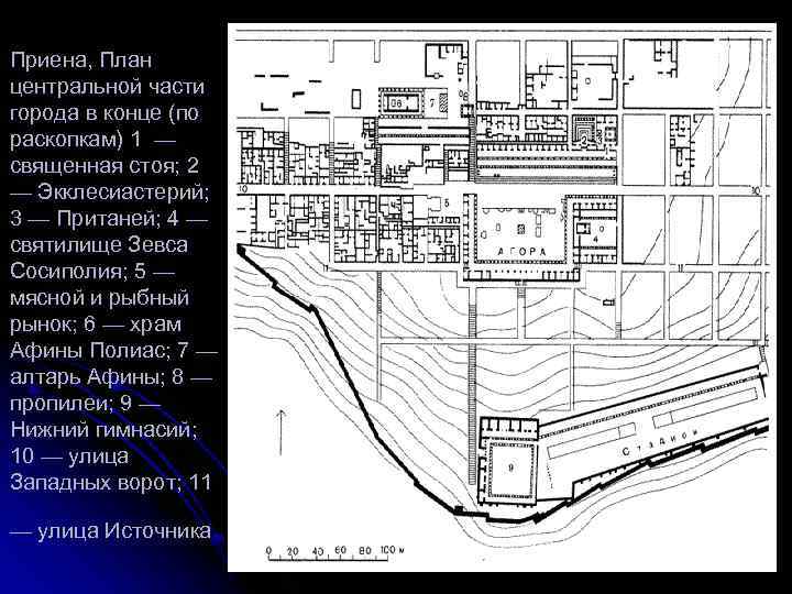 План центральные