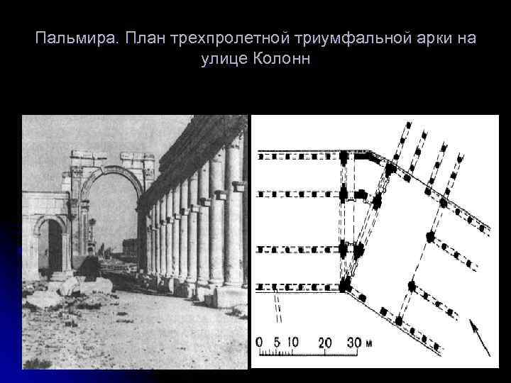 Пальмира план города