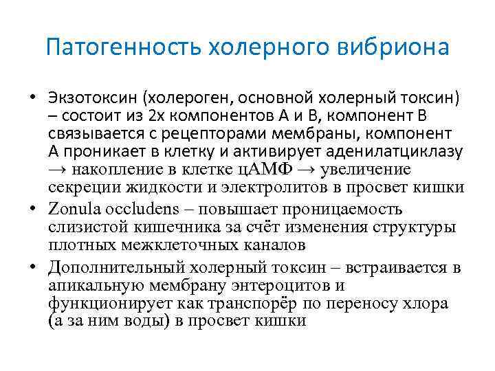 Патогенность холерного вибриона • Экзотоксин (холероген, основной холерный токсин) – состоит из 2 х