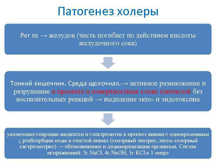 Патогенез холеры Per os → желудок (часть погибает по действием кислоты желудочного сока) Тонкий