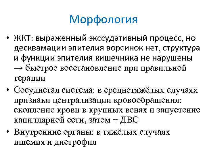 Морфология • ЖКТ: выраженный экссудативный процесс, но десквамации эпителия ворсинок нет, структура и функции