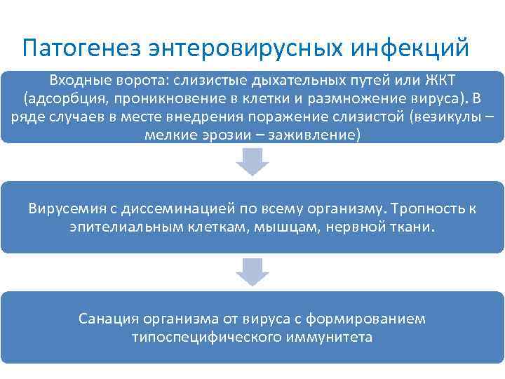 Патогенез энтеровирусных инфекций Входные ворота: слизистые дыхательных путей или ЖКТ (адсорбция, проникновение в клетки