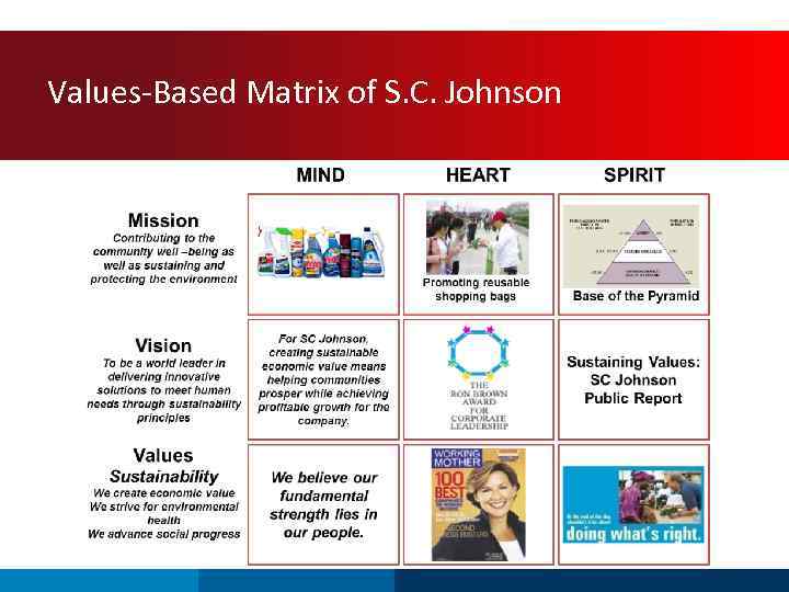 Values-Based Matrix of S. C. Johnson 
