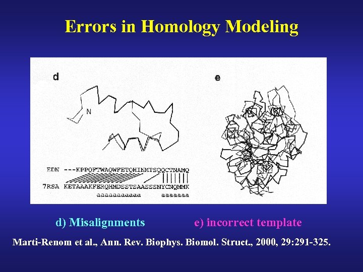 Errors in Homology Modeling d) Misalignments e) incorrect template Marti-Renom et al. , Ann.