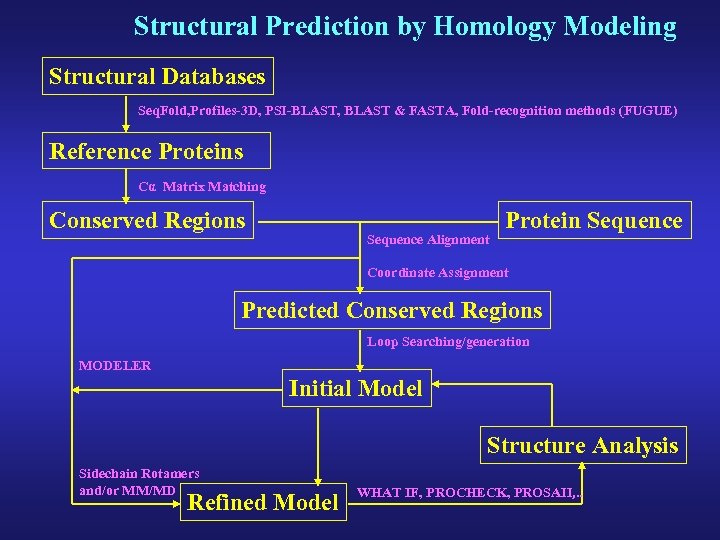 Structural Prediction by Homology Modeling Structural Databases Seq. Fold, Profiles-3 D, PSI-BLAST, BLAST &