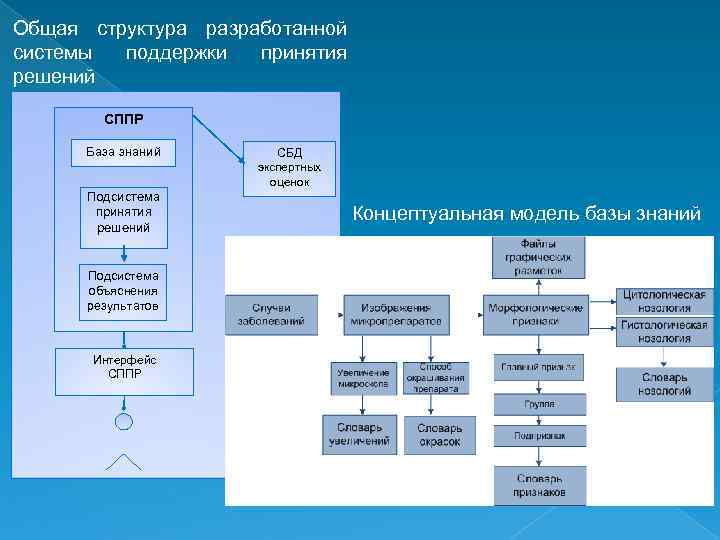 Поддерживающая структура. Система поддержки принятия решений состав. Концептуальная схема СППР. Структура системы поддержки принятия решений. Структура СППР.