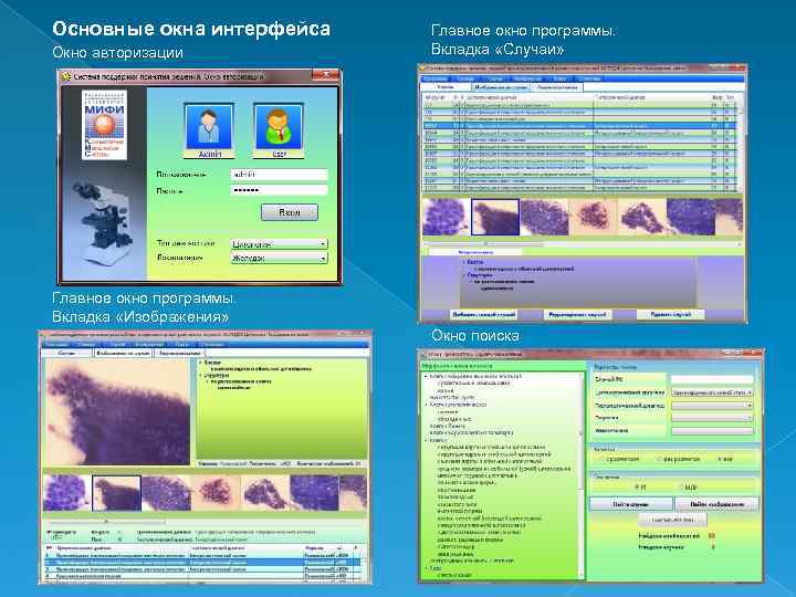 Основные окна интерфейса Окно авторизации Главное окно программы. Вкладка «Случаи» Главное окно программы. Вкладка