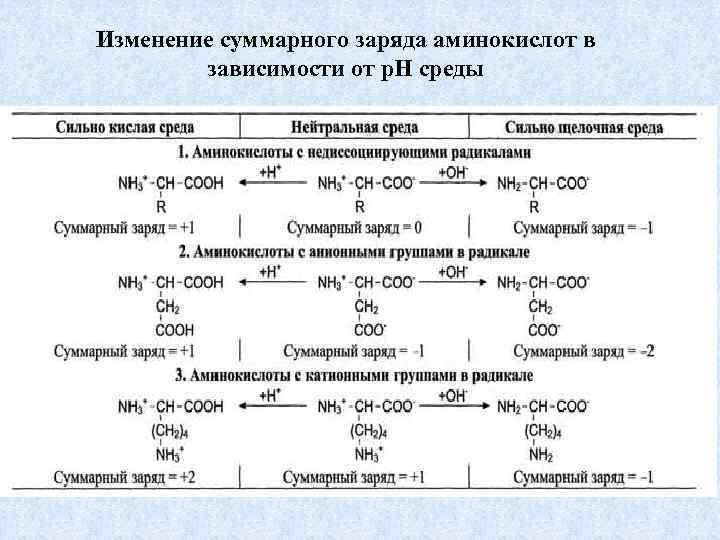 План конспект аминокислоты 10 класс