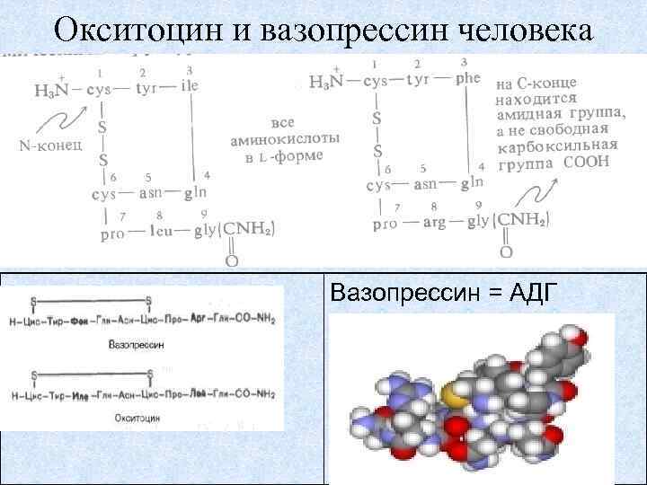 Родоусиление окситоцином схема