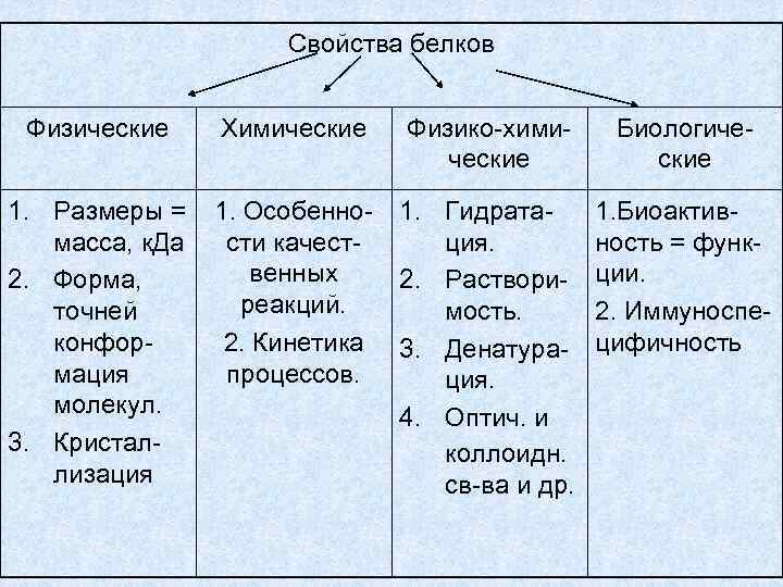 Белки химические свойства