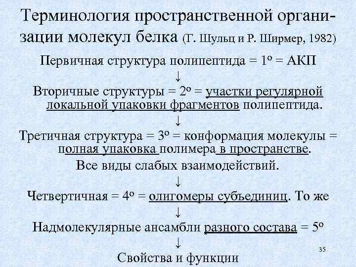 Терминология пространственной организации молекул белка (Г. Шульц и Р. Ширмер, 1982) Первичная структура полипептида