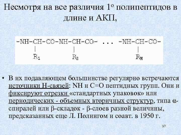 Несмотря на все различия 1 о полипептидов в длине и АКП, • В их