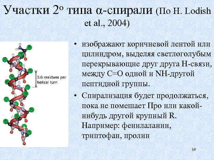 Участки 2 о типа α-спирали (По H. Lodish et al. , 2004) • изображают