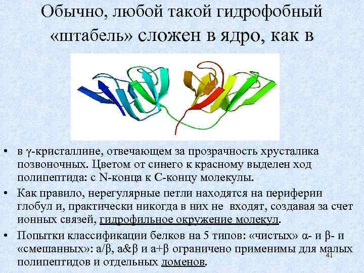 Обычно, любой такой гидрофобный «штабель» сложен в ядро, как в • в γ-кристаллине, отвечающем