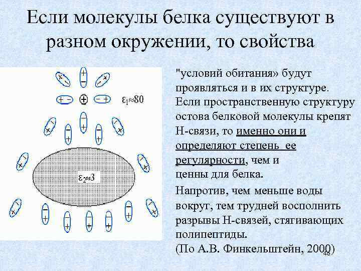Если молекулы белка существуют в разном окружении, то свойства "условий обитания» будут проявляться и