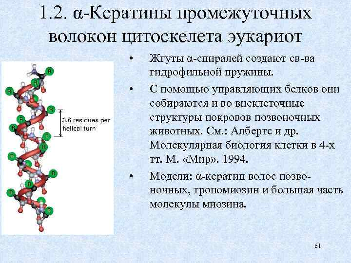 Биологические функции аминокислот