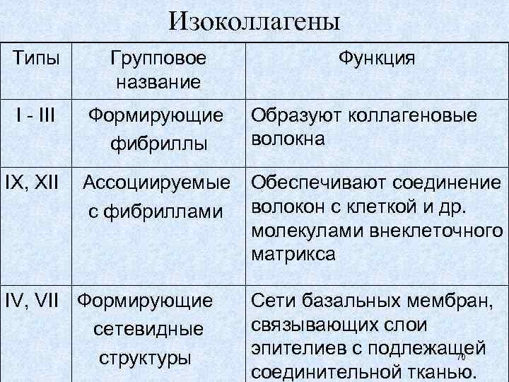 Изоколлагены Типы Групповое название I - III Формирующие фибриллы Образуют коллагеновые волокна IX, XII
