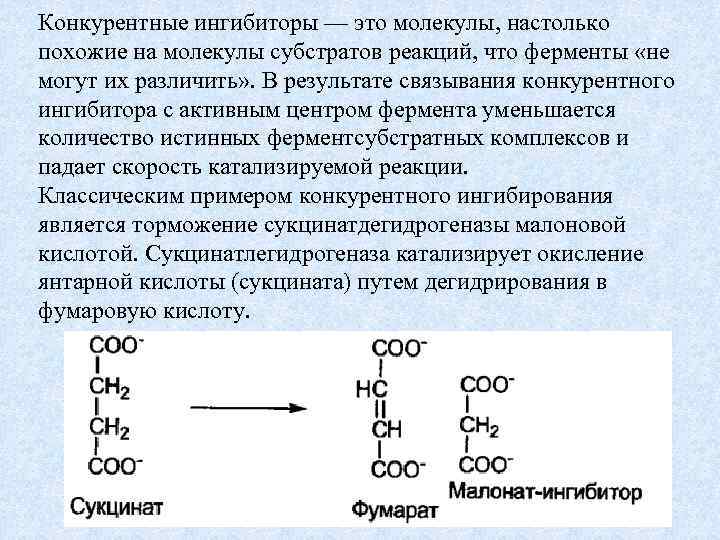 Конкурентные ингибиторы — это молекулы, настолько похожие на молекулы субстратов реакций, что ферменты «не