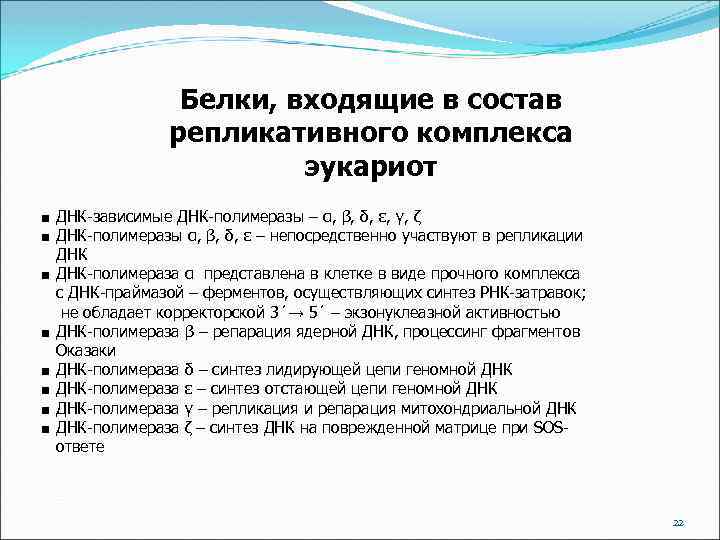 Белки, входящие в состав репликативного комплекса эукариот ■ ДНК-зависимые ДНК-полимеразы – α, β, δ,