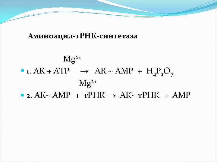 Аминоацил-т. РНК-синтетаза Mg 2+ 1. АК + АТР → АК ~ АМР + Н