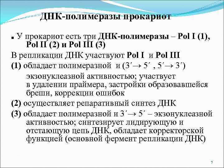 ДНК-полимеразы прокариот У прокариот есть три ДНК-полимеразы – Pol I (1), Pol II (2)