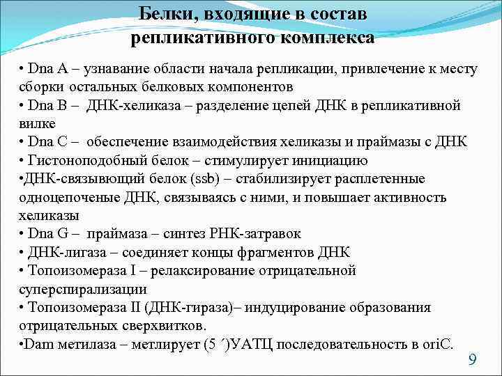 Белки, входящие в состав репликативного комплекса • Dna A – узнавание области начала репликации,