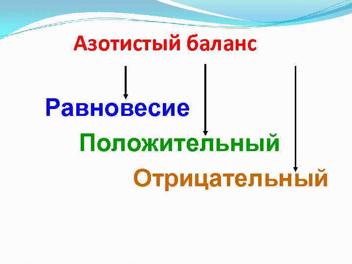 Азотистый баланс Равновесие Положительный Отрицательный 