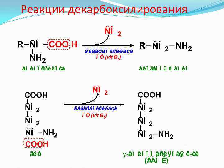 Реакции декарбоксилирования 