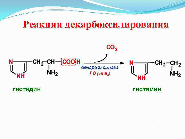 Реакции декарбоксилирования декарбоксилаза гистидин гистамин 