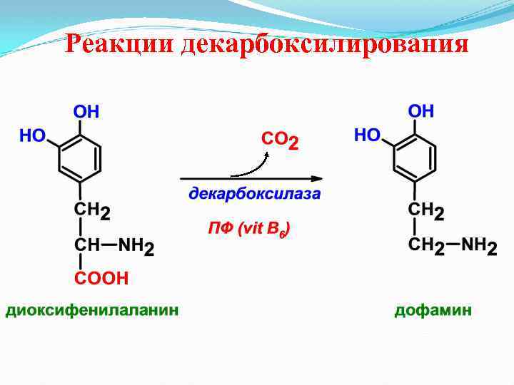 Реакции декарбоксилирования 